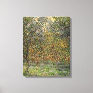 Lemon Grove i Bordighera av Claude Monet Canvastryck