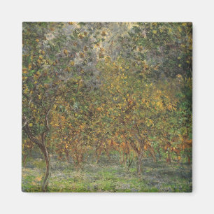 Lemon Grove i Bordighera av Claude Monet Magnet