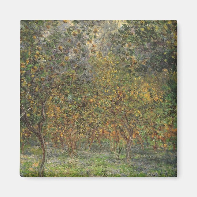 Lemon Grove i Bordighera av Claude Monet Magnet (Framsidan)
