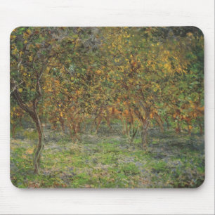 Lemon Grove i Bordighera av Claude Monet Musmatta