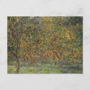 Lemon Grove i Bordighera av Claude Monet Vykort