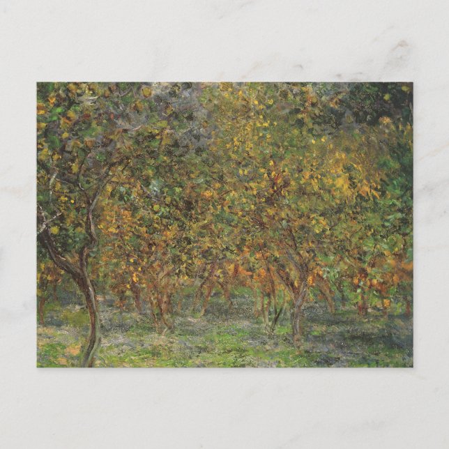 Lemon Grove i Bordighera av Claude Monet Vykort (Framsida)