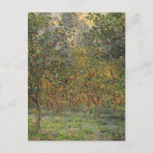 Lemon Grove i Bordighera av Claude Monet Vykort