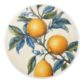 Lemon Grove i Medelhavsområdet Knopp