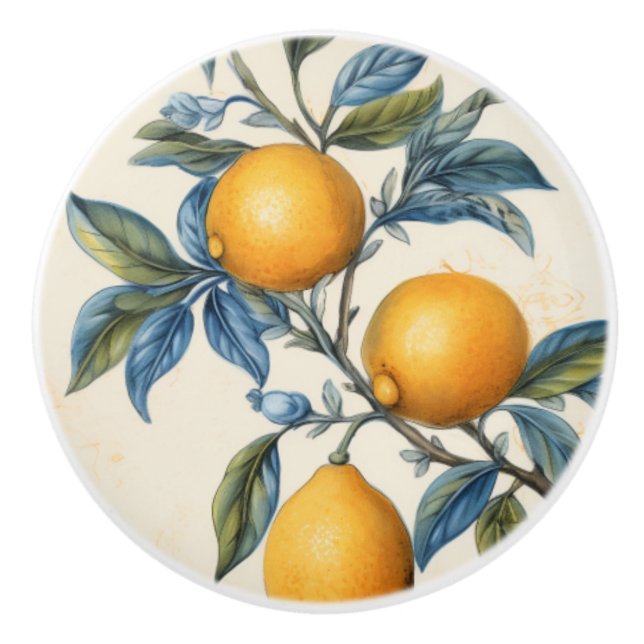 Lemon Grove i Medelhavsområdet Knopp (Framsidan)