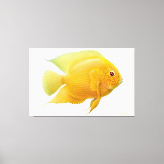 Lemon Guld Severum Cichlid Fish Wrapped Canvas (Framsida)