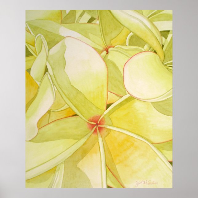 Lemon Gult Frangipani Poster (Framsidan)
