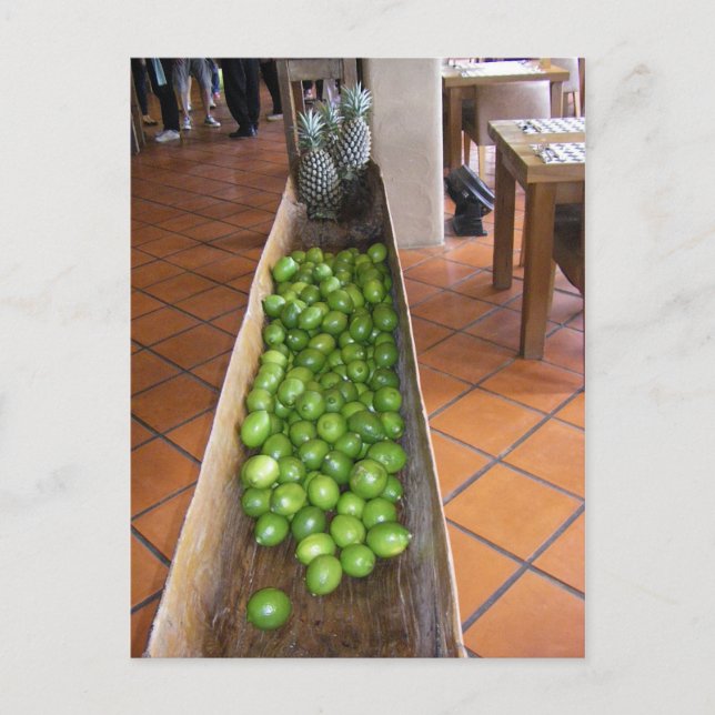 Lemon Juice eller Pineapple Juice? Vykort (Framsida)