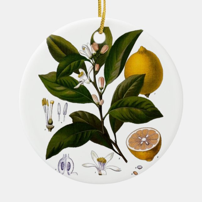 Lemon Julgransprydnad Keramik (Framsidan)