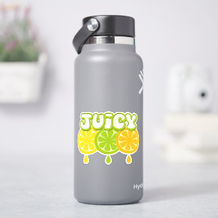 Lemon Lime Orange Fruit Vinyl Sticker Klistermärken