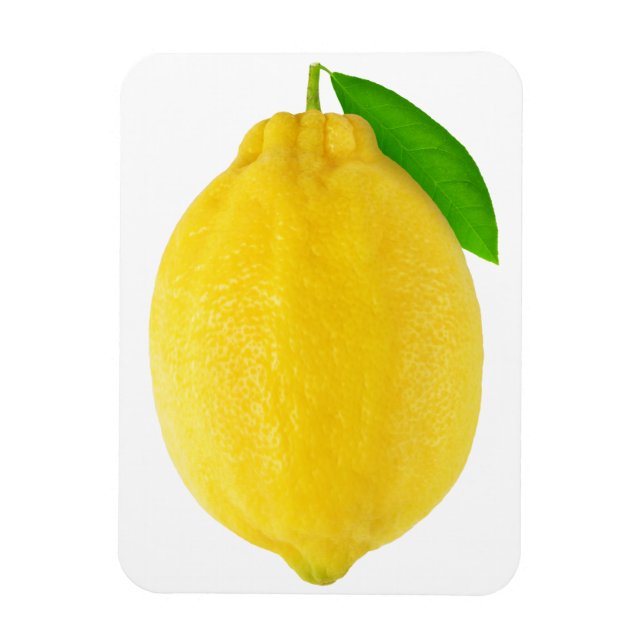 Lemon Magnet (Vertikal)