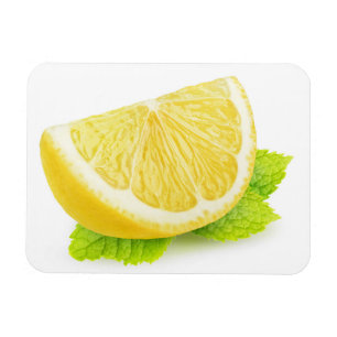 Lemon och mynt magnet