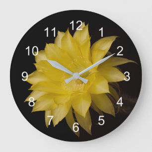 Lemon Paj cactus blomdeglus Stor Klocka
