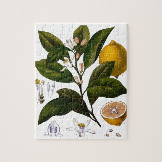 Lemon Pussel (Vertikal)