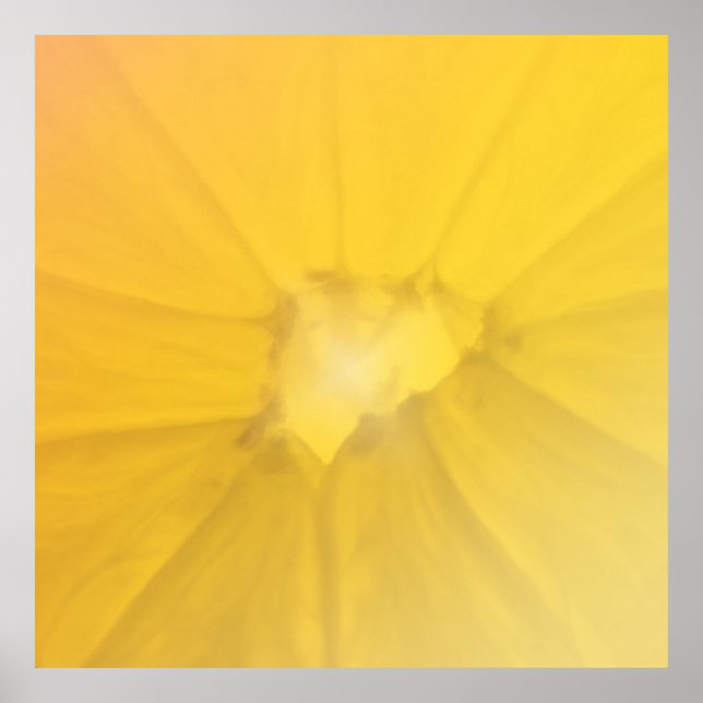 Lemon Section Poster (Framsidan)