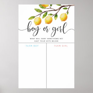 Lemon Tema Gender - visa rösttecken Poster