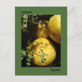 Lemon Thyme. Vykort