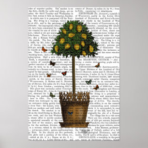 Lemon Träd Poster
