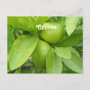 Lemon Träd Vykort