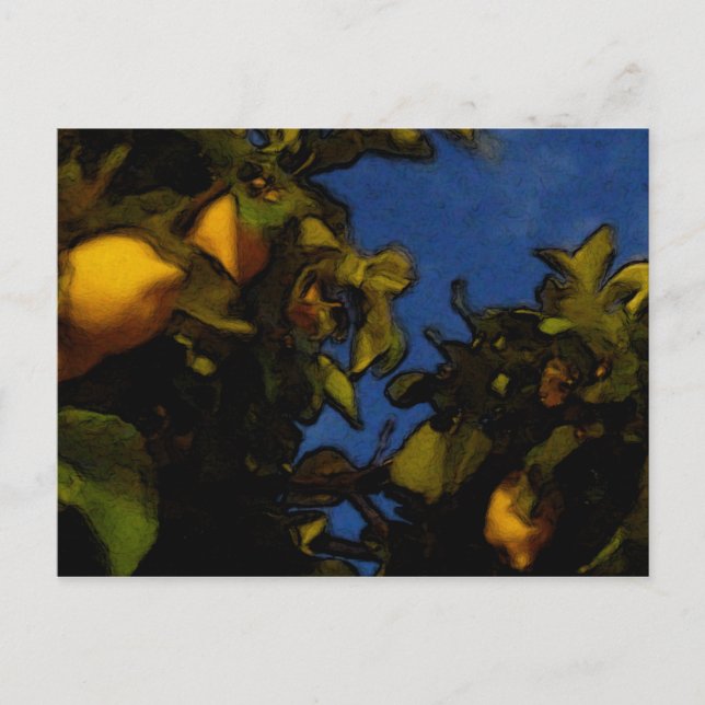 Lemon tur vykort (Framsida)