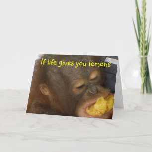 Lemonade: om livet ge, så citroner kort