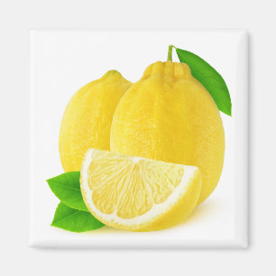 Lemonfrukter Magnet