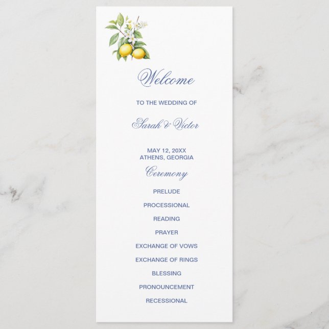 Lemons Double Sided Flat Program (Framsida)