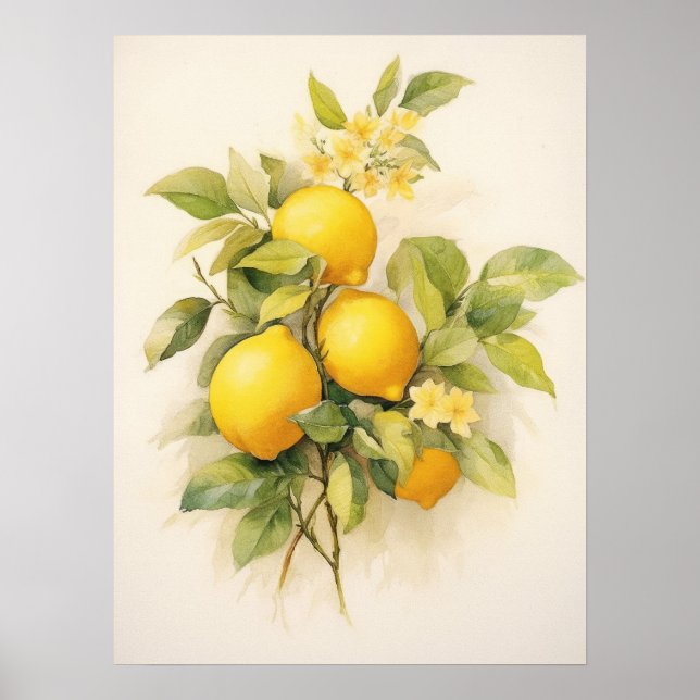 Lemons för uppdatering av elegant poster (Framsidan)