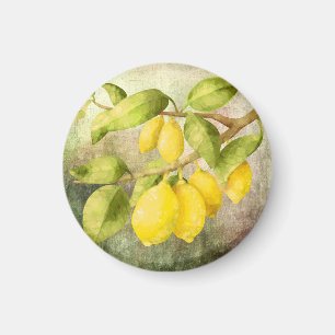 Lemons-målning Magnet
