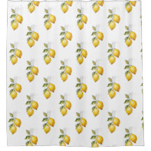 Lemons med färgruta