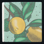 Lemons Oven Mitt och Pot Holders Stenunderlägg<br><div class="desc">En ljus,  djärv och modern design ger dig ett nytt och oärligt tillägg till din hemdekoration.</div>