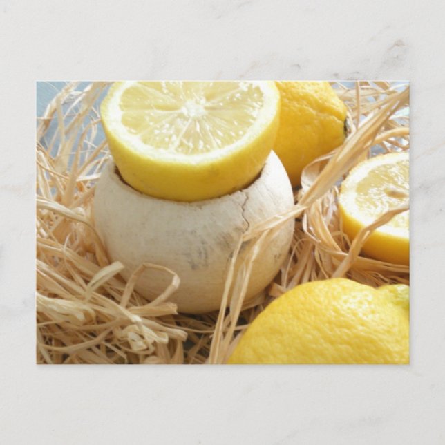 Lemons vykort (Framsida)