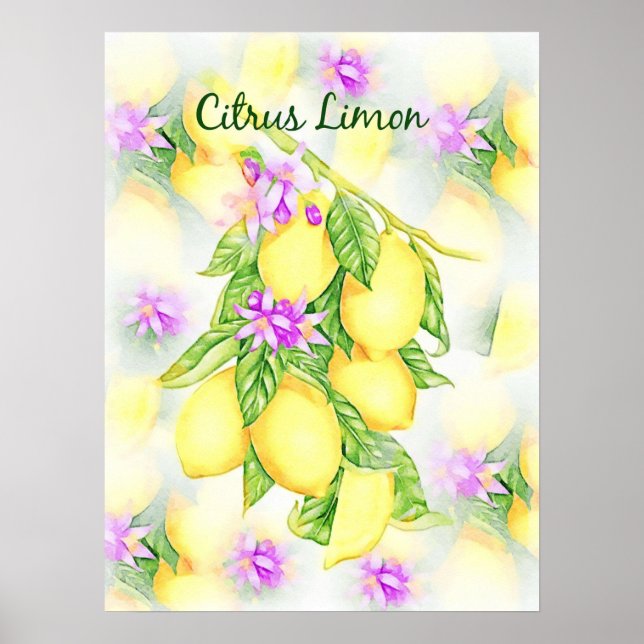 Lemons Watercolor Citrus Limon Frukt Kitchen Poster (Framsidan)