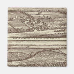 Lemoore, Armona-rancher Magnet