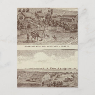 Lemoore, Armona ranches 2 Vykort