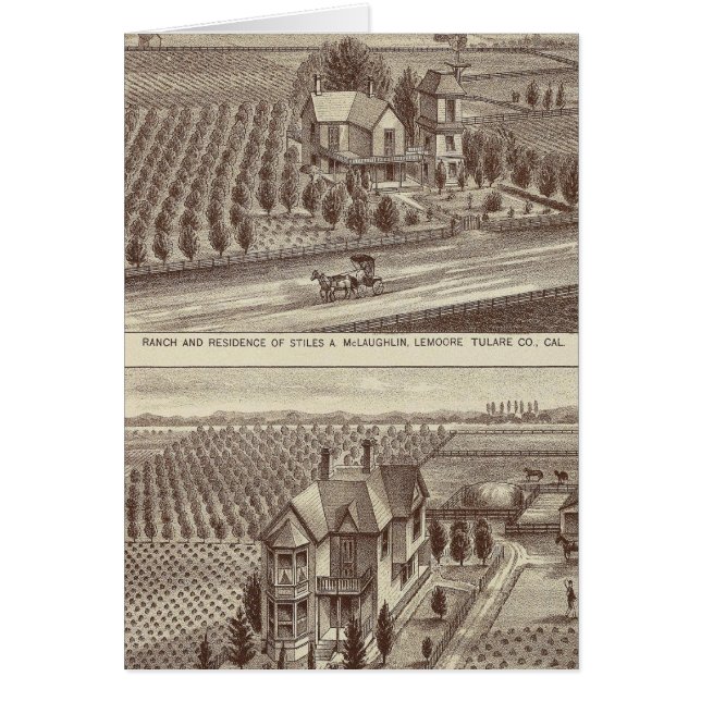 Lemoore, Armona ranches Hälsningskort (Framsidan)