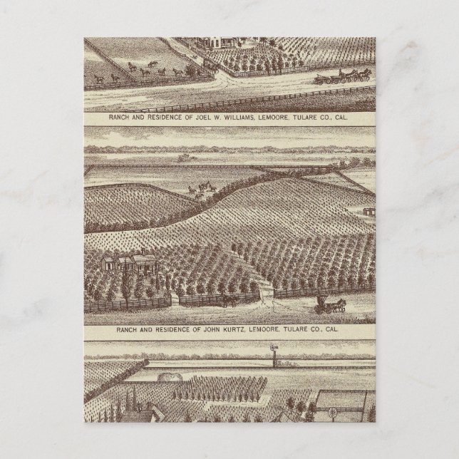 Lemoore, Armona ranches Vykort (Framsida)