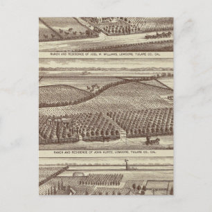 Lemoore, Armona ranches Vykort