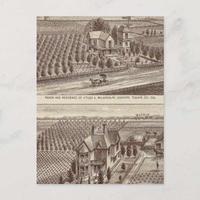 Lemoore, Armona ranches Vykort (Framsida)
