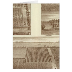 Lemoore-rancher Hälsningskort