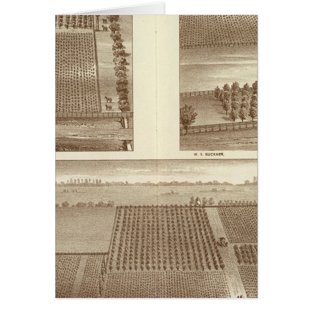 Lemoore-rancher Hälsningskort (Framsidan)