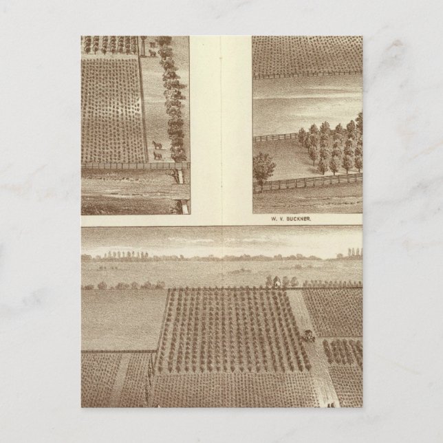 Lemoore-rancher Vykort (Framsida)