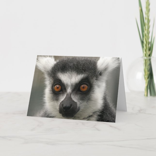 Lemur Ansikte-hälsningskort Kort (Framsida)