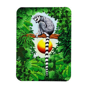 Lemur av Madagascar Magnet