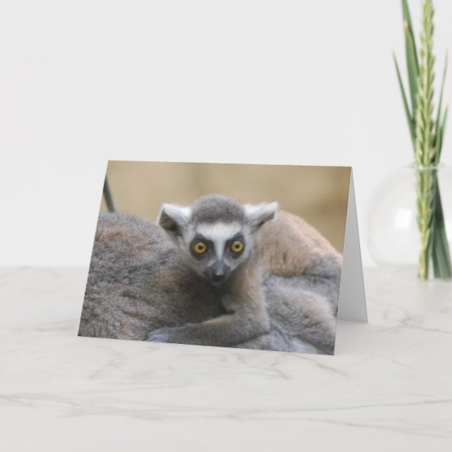 Lemur Baby-hälsningskort Kort (Framsida)