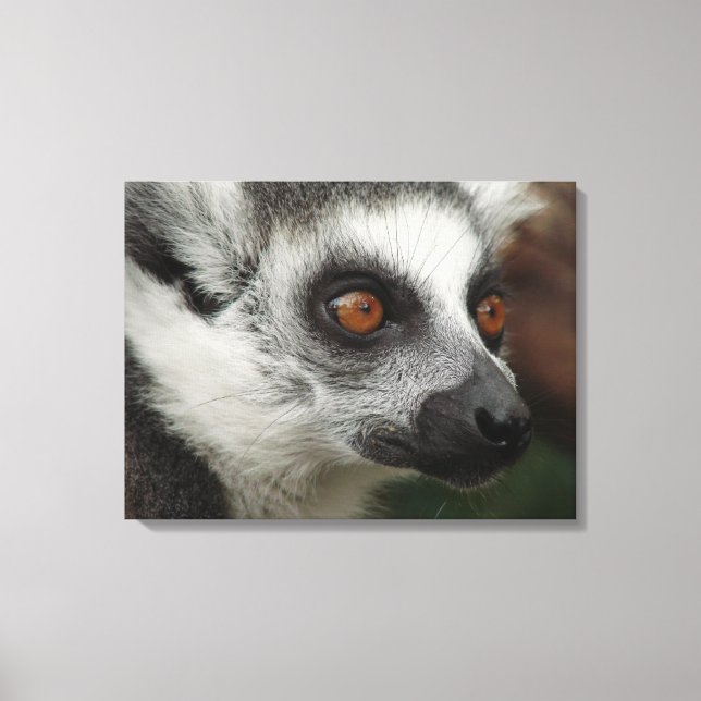 Lemur Canvastryck (Framsida)