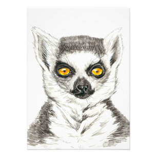 Lemur Fototryck