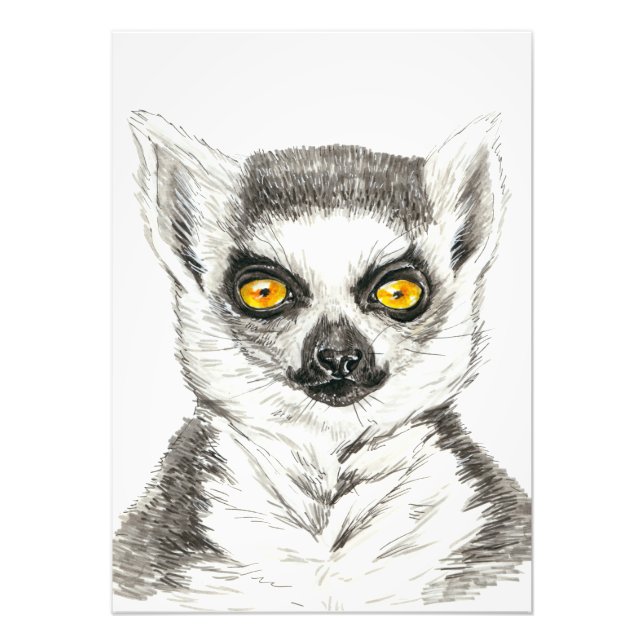 Lemur Fototryck (Framsidan)