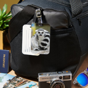 Lemur full av personlighet bagagebricka
