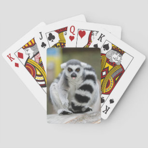Lemur full av personlighet casinokort